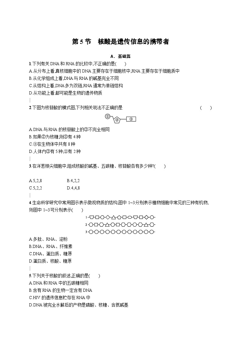 人教版（2019）必修一2.5 核酸是遗传信息的携带者练习（含答案解析）01