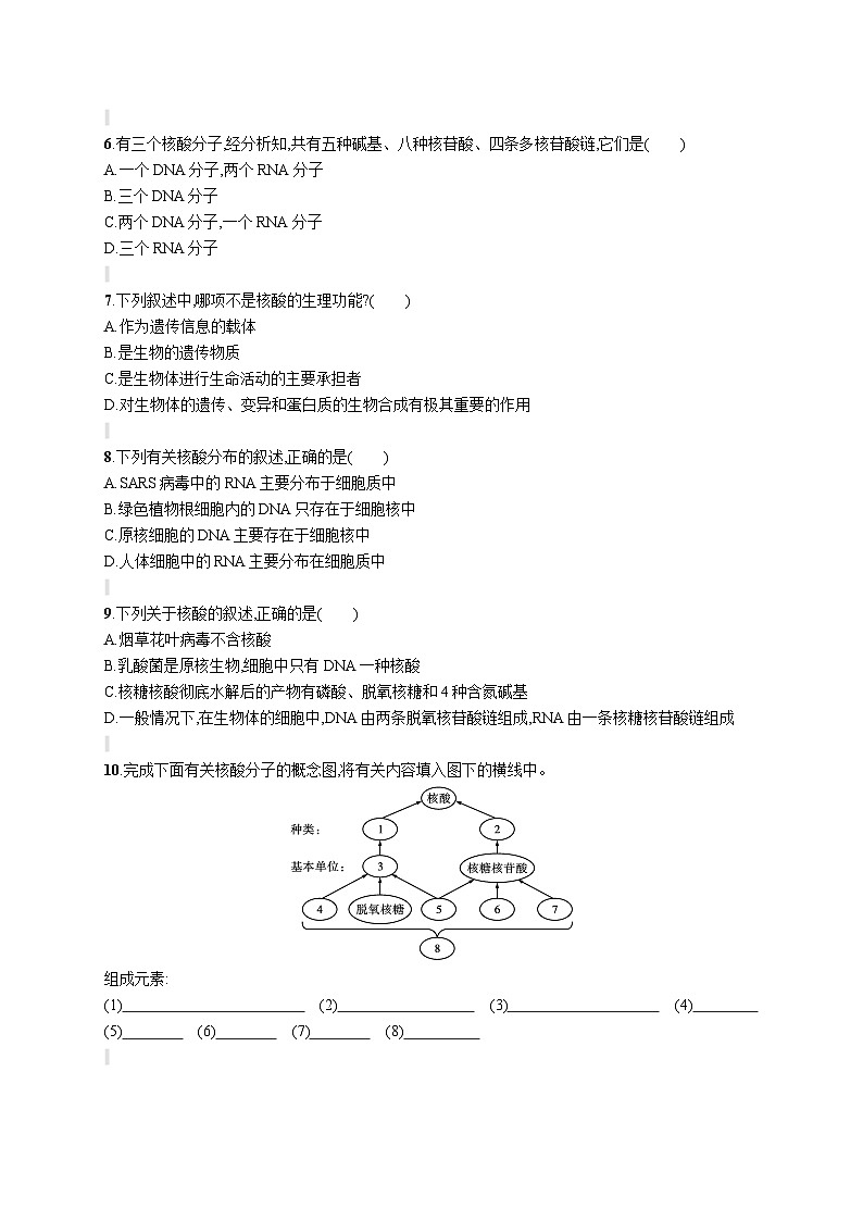 人教版（2019）必修一2.5 核酸是遗传信息的携带者练习（含答案解析）02