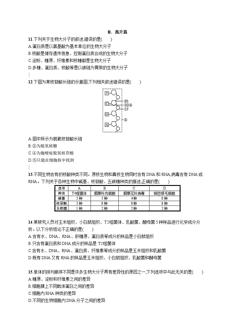 人教版（2019）必修一2.5 核酸是遗传信息的携带者练习（含答案解析）03
