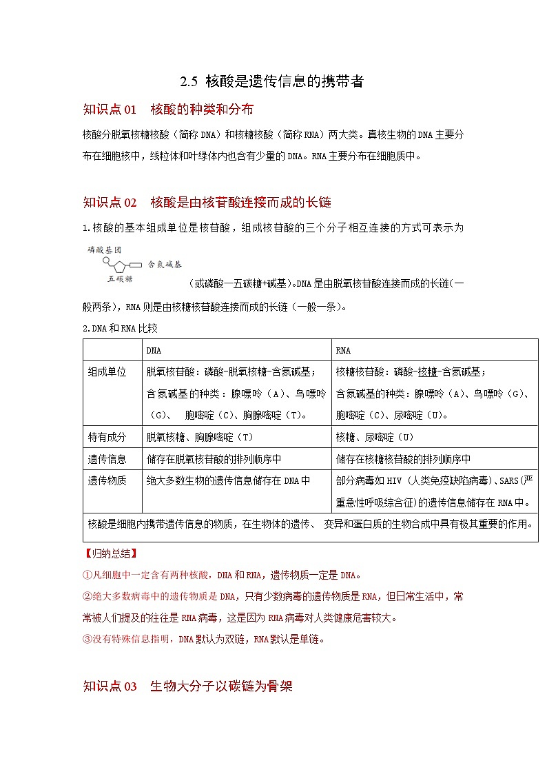 人教版（2019）必修一2.5 核酸是遗传信息的携带者知识清单01