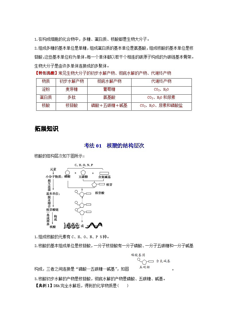 人教版（2019）必修一2.5 核酸是遗传信息的携带者知识清单02
