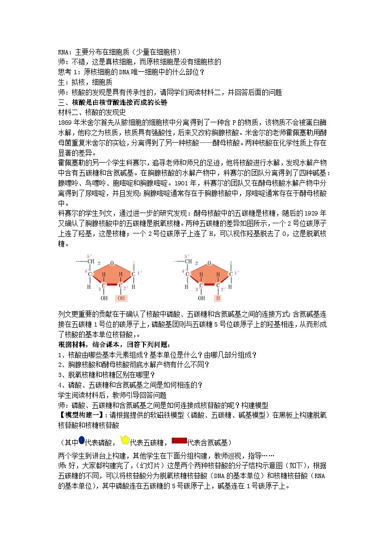 2.5 核酸是遗传信息的携带者 教案-2024-2025学年高一上学期生物人教版（2019）必修102