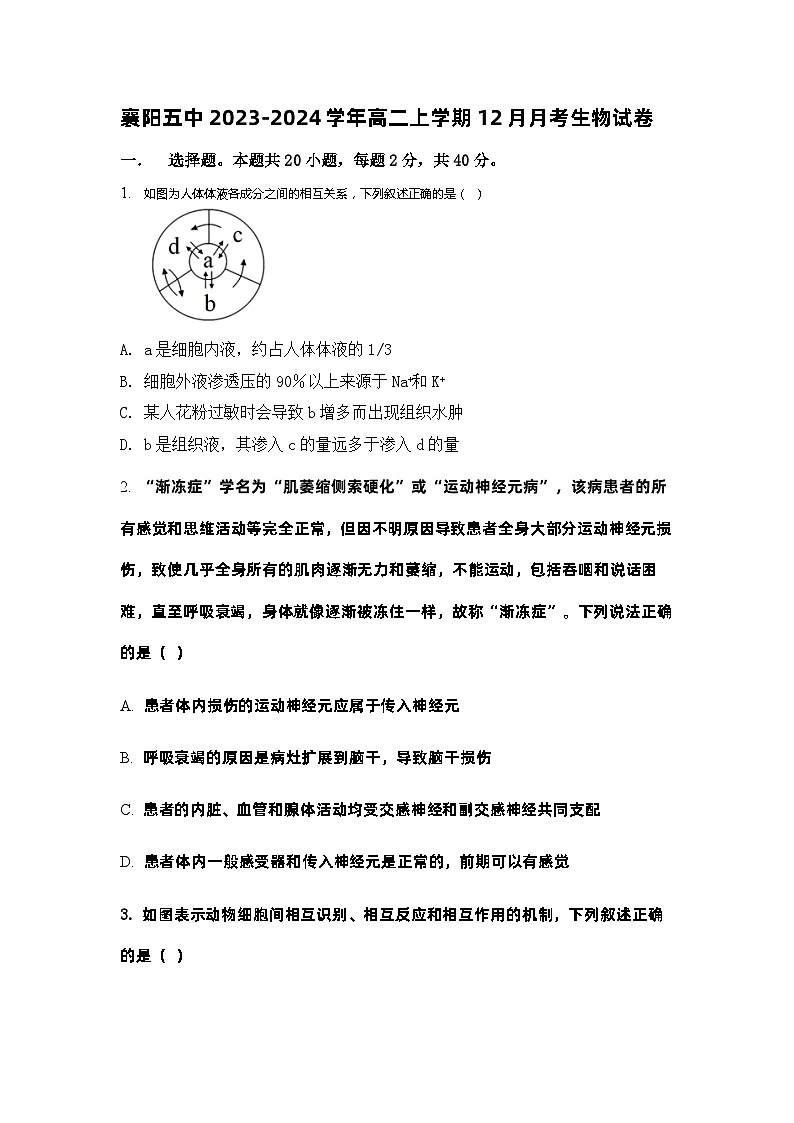 湖北省襄阳市第五中学2023-2024学年高二上学期12月月考生物试卷01