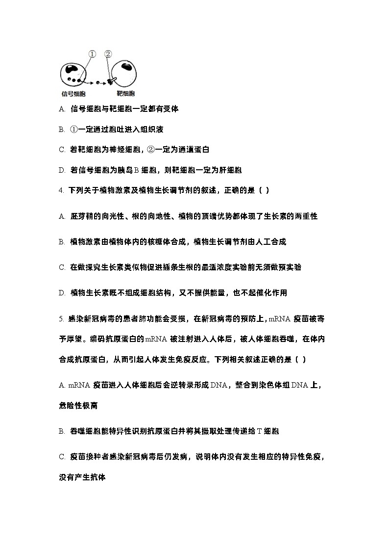 湖北省襄阳市第五中学2023-2024学年高二上学期12月月考生物试卷02