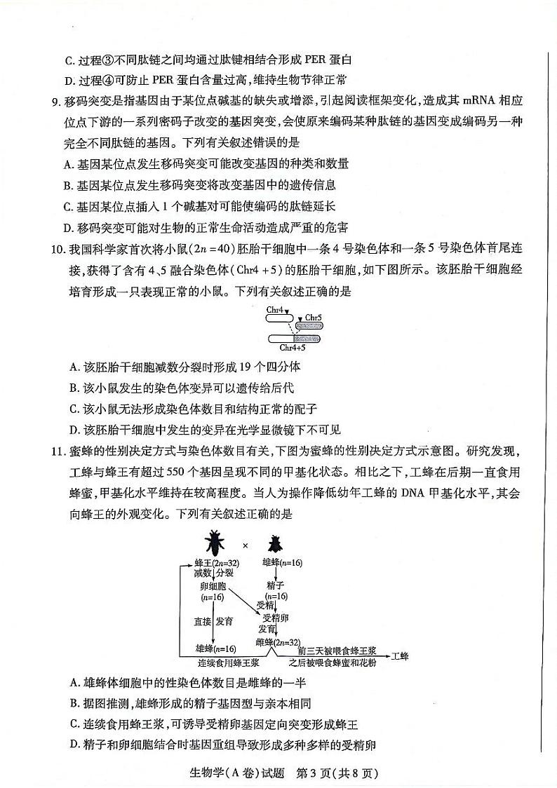 陕西省安康市2023-2024学年高一下学期7月期末生物试题03