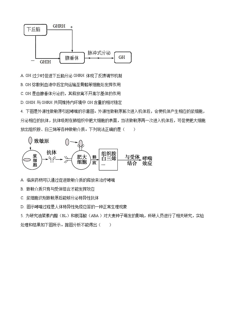 2024安徽师大附中高二下学期6月测试生物含解析第2页
