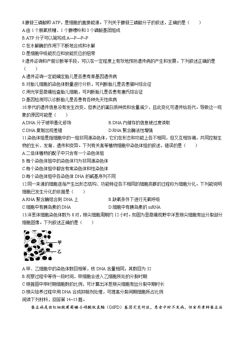 浙江省绍兴市柯桥区2023-2024学年高一下学期期末教学质量调测生物试卷02