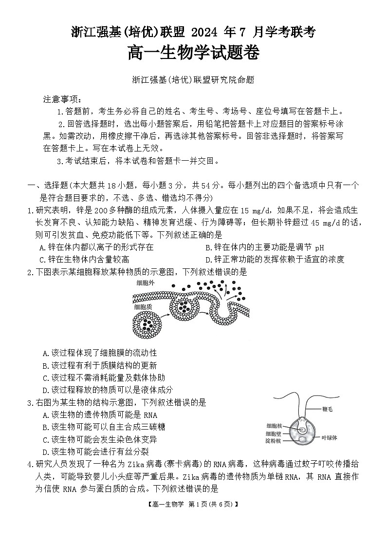 浙江省强基联盟2023-2024学年高一下学期期末联考生物试题01