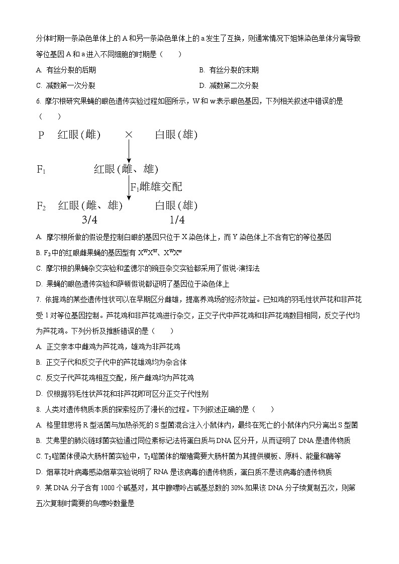 安徽省六安市叶集区叶集皖西当代中学2023-2024学年高一下学期7月期末考试生物学试题（含答案）第2页