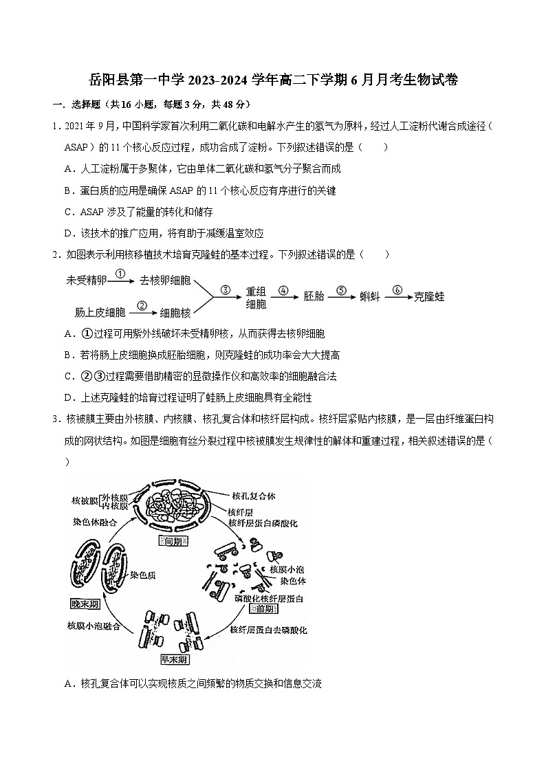 湖南省岳阳市岳阳县第一中学2023-2024学年高二下学期6月月考生物学试题（含答案）第1页