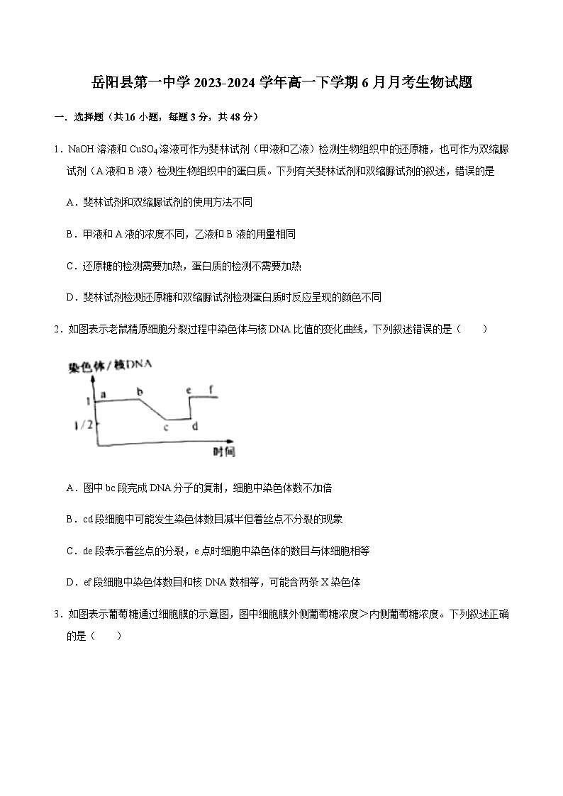 湖南省岳阳市岳阳县第一中学2023-2024学年高一下学期6月月考生物学试题（含答案）第1页