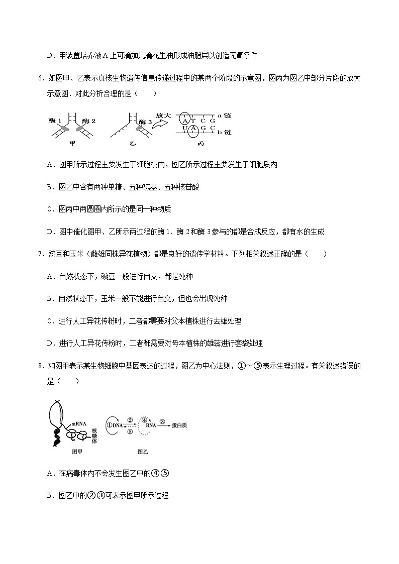 湖南省岳阳市岳阳县第一中学2023-2024学年高一下学期6月月考生物学试题（含答案）第3页