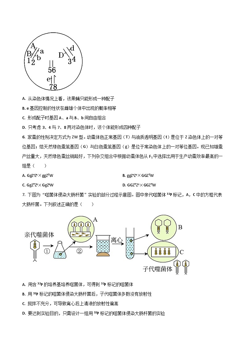 江苏省扬州市第一中学2023-2024学年高一下学期5月教学质量调研评估生物试卷（含答案）第2页