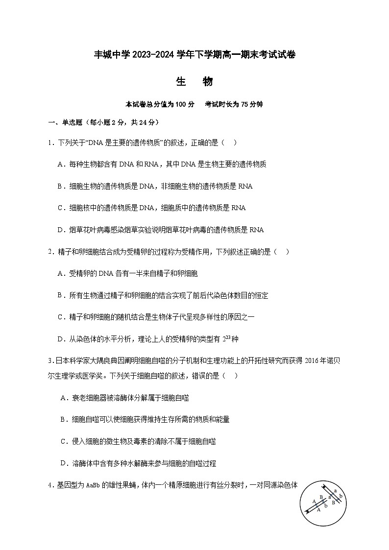 丰城中学2023-2024学年下学期高一期末考试生物试卷第1页