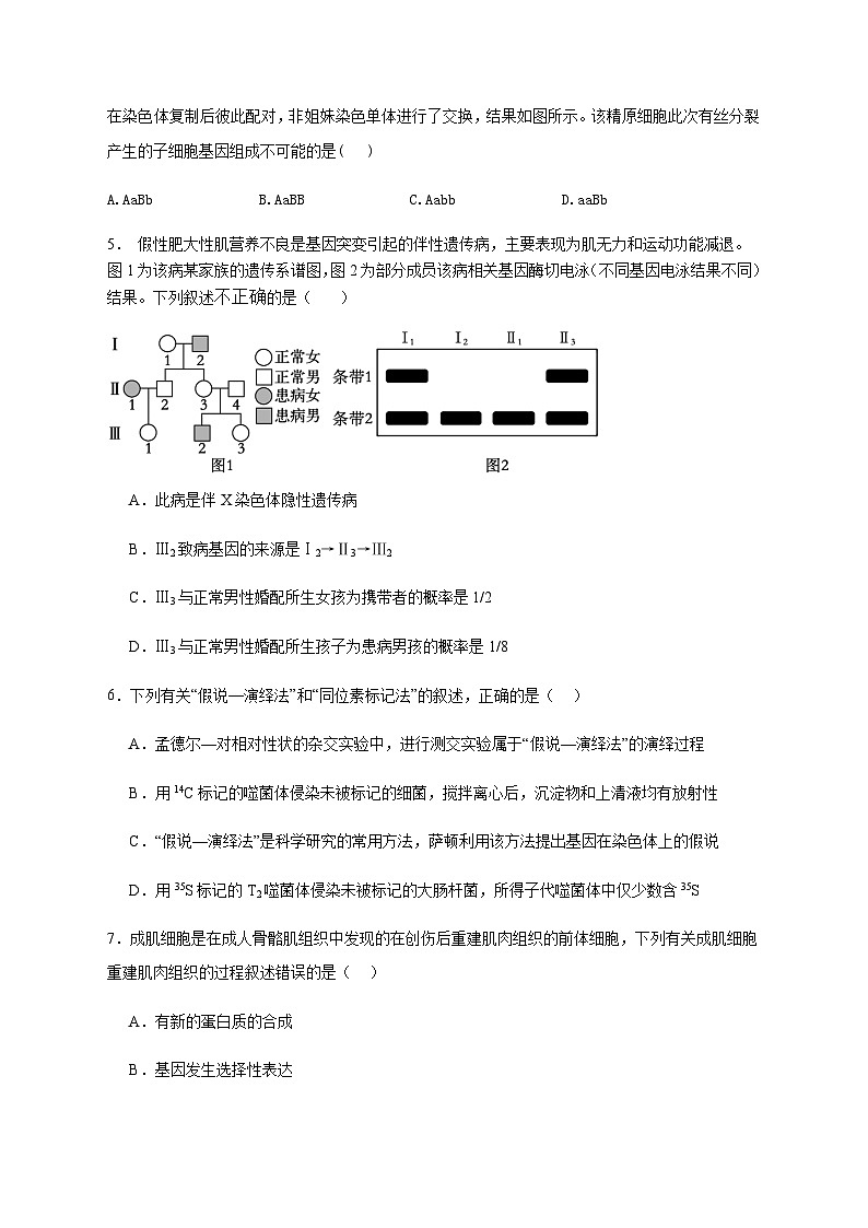 丰城中学2023-2024学年下学期高一期末考试生物试卷第2页