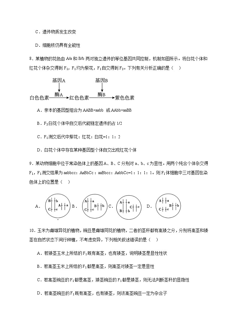 丰城中学2023-2024学年下学期高一期末考试生物试卷第3页