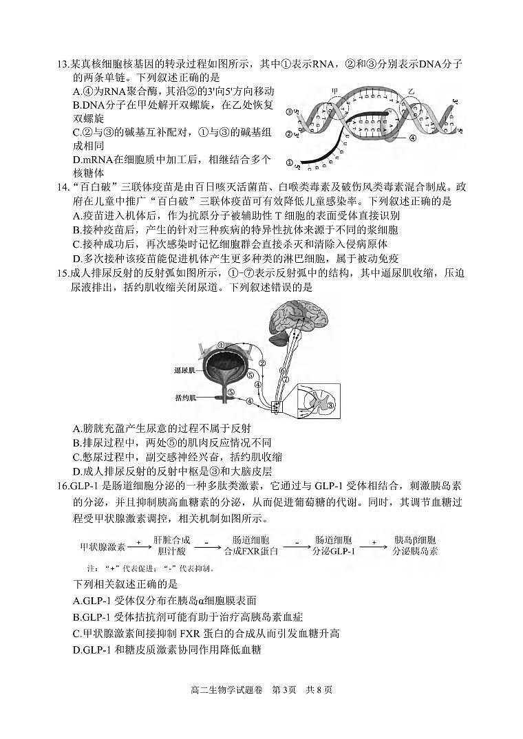 生物丨浙江省丽水市2025届高三6月期末教学质量监控考试生物试卷及答案第3页