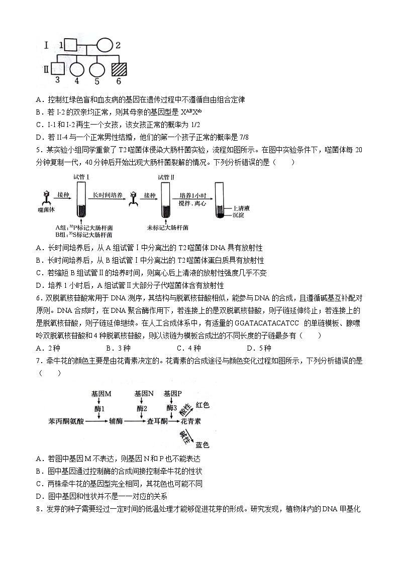 河南省南阳地区2023-2024学年高一下学期生物期末适应性考试(无答案)第2页