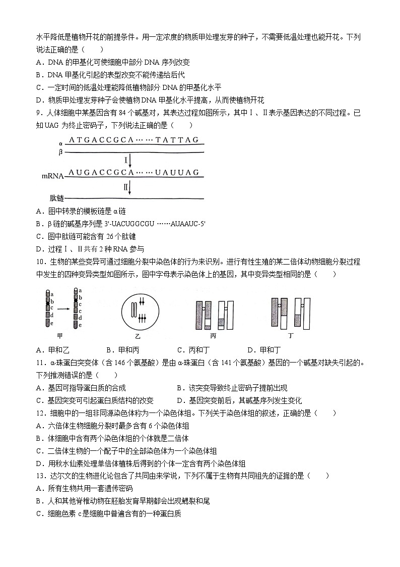 河南省南阳地区2023-2024学年高一下学期生物期末适应性考试(无答案)第3页