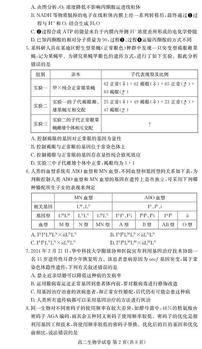湖北省咸宁市2023-2024学年高二下学期期末考试生物试题02