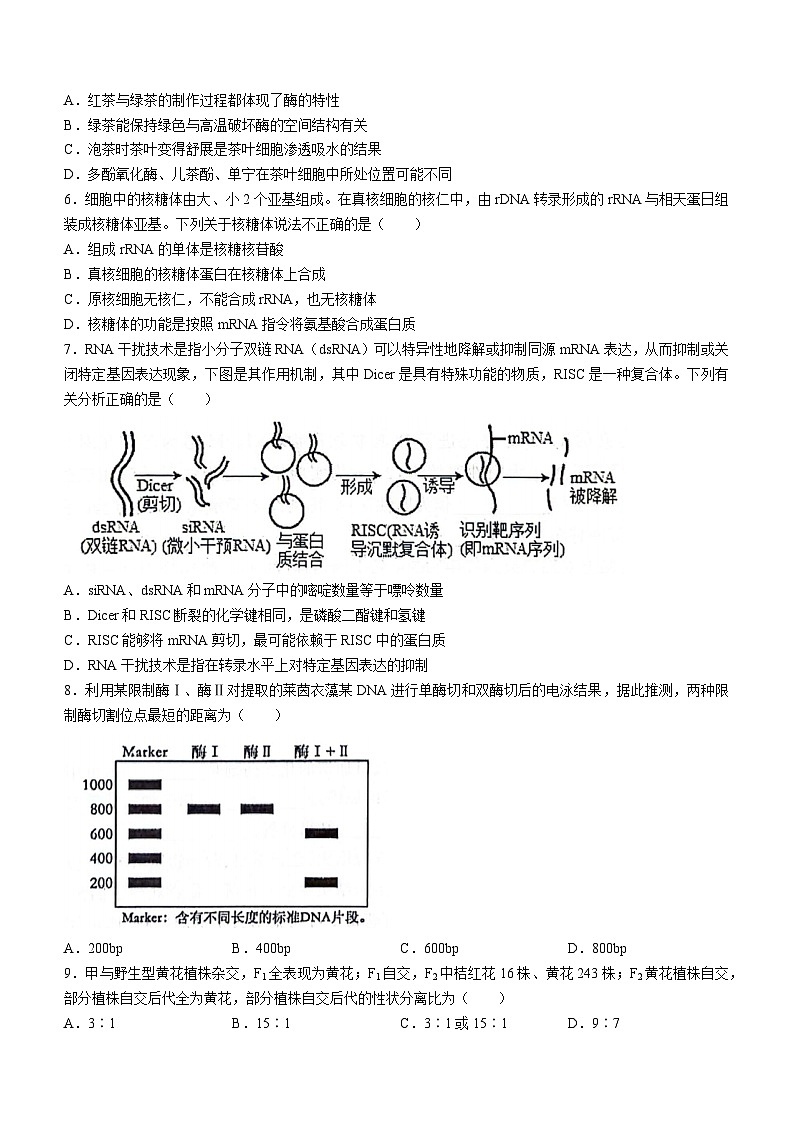 湖北省武汉市江岸区2023-2024学年高二下学期7月期末生物试卷（Word版附答案）第2页