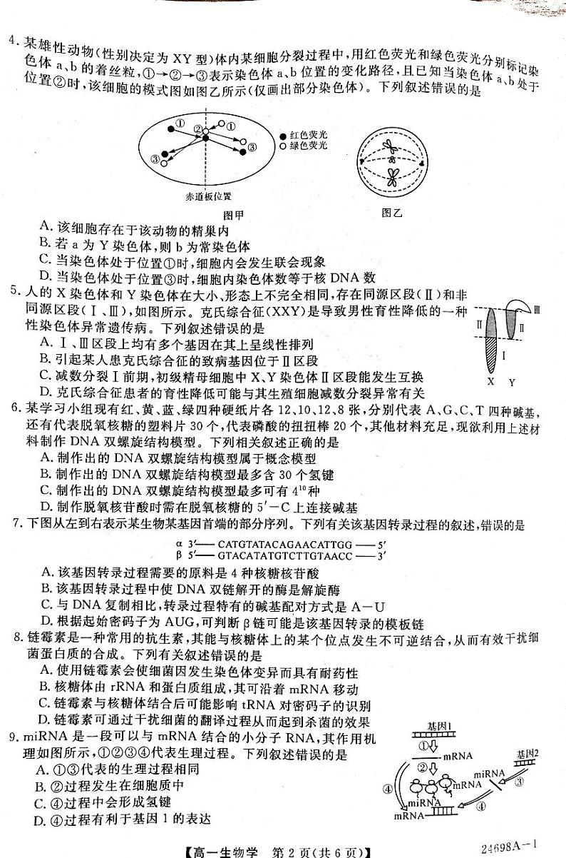 河南省新未来2023-2024学年高一下学期7月期末联考生物试题02