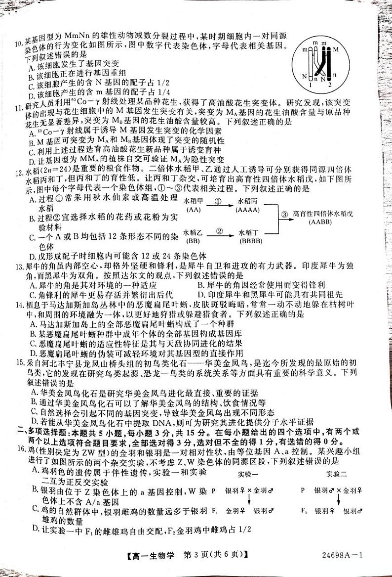 河南省新未来2023-2024学年高一下学期7月期末联考生物试题03