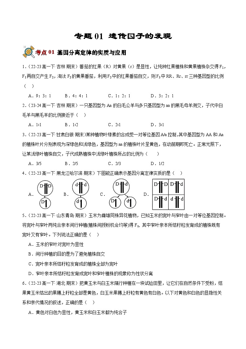 专题01 遗传因子的发现（原卷版+解析版）备战2023-2024学年高一生物下学期期末真题分类汇编（新高考专用）01