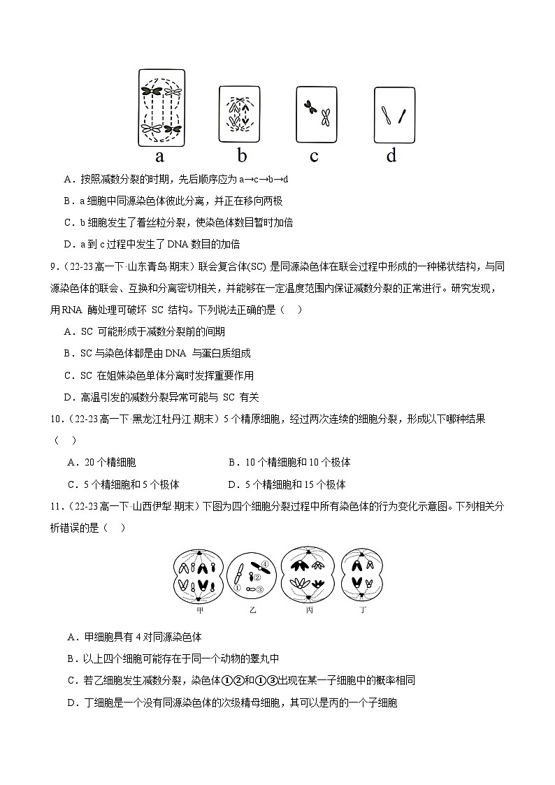 专题02 基因和染色体的关系（原卷版）第3页