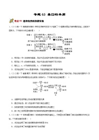 专题03 基因的本质（原卷版+解析版）备战2023-2024学年高一生物下学期期末真题分类汇编（新高考专用）