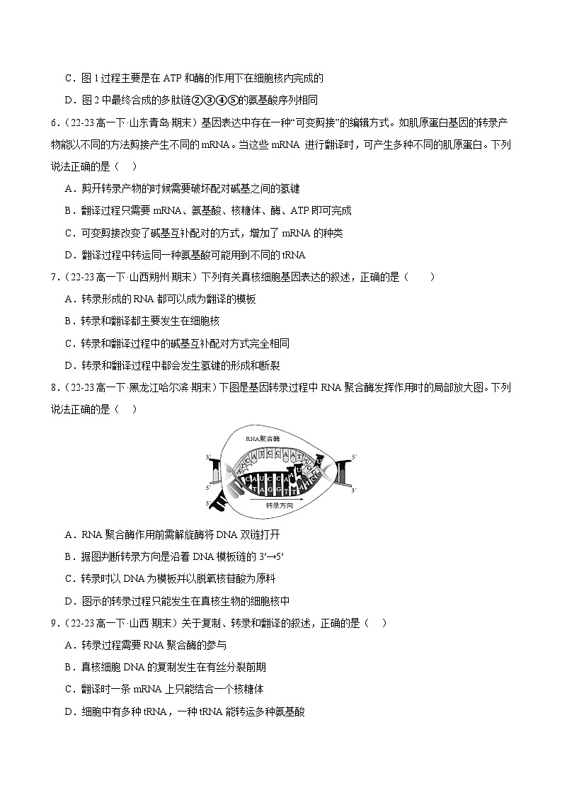 专题04 基因的表达（原卷版）第3页