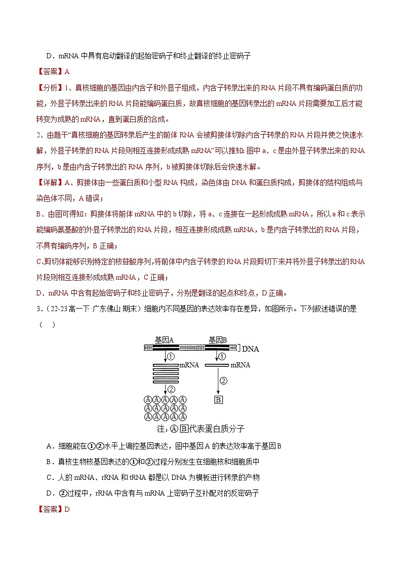 专题04 基因的表达（解析版）第2页