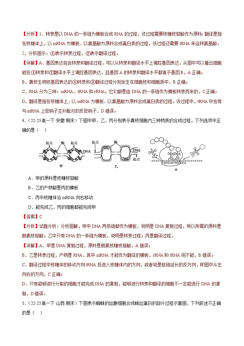 专题04 基因的表达（解析版）第3页