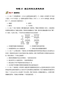 专题05 基因突变及其他变异（原卷版+解析版）备战2023-2024学年高一生物下学期期末真题分类汇编（新高考专用）