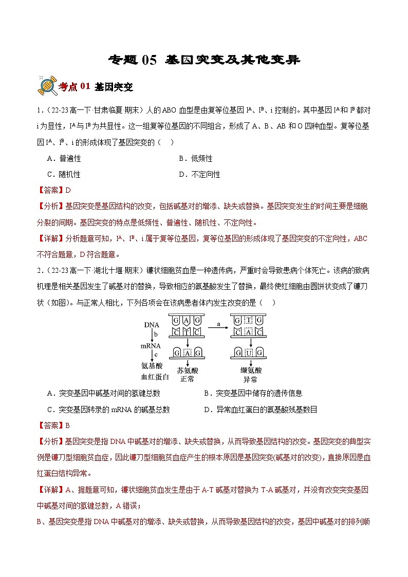 专题05 基因突变及其他变异（原卷版+解析版）备战2023-2024学年高一生物下学期期末真题分类汇编（新高考专用）01