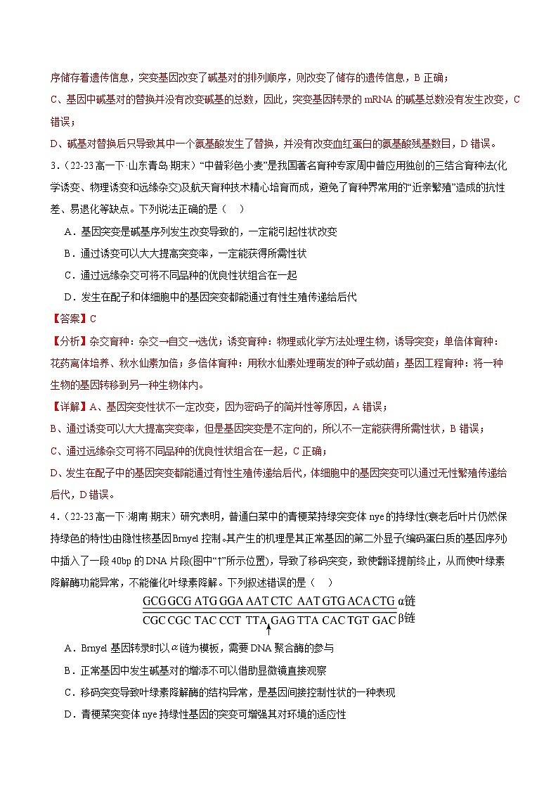 专题05 基因突变及其他变异（原卷版+解析版）备战2023-2024学年高一生物下学期期末真题分类汇编（新高考专用）02