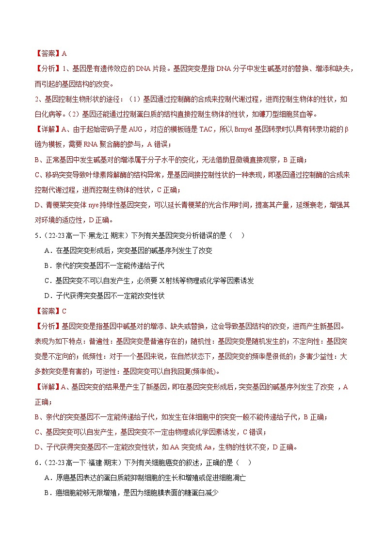 专题05 基因突变及其他变异（原卷版+解析版）备战2023-2024学年高一生物下学期期末真题分类汇编（新高考专用）03