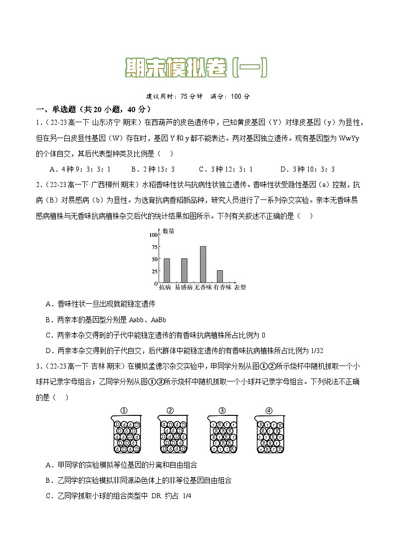 期末模拟卷（一）（原卷版）第1页