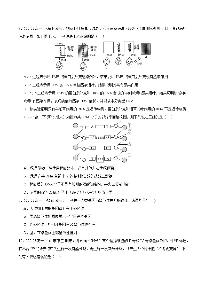 期末模拟卷（二）（原卷版+解析版）备战2023-2024学年高一生物下学期期末真题分类汇编（新高考专用）03