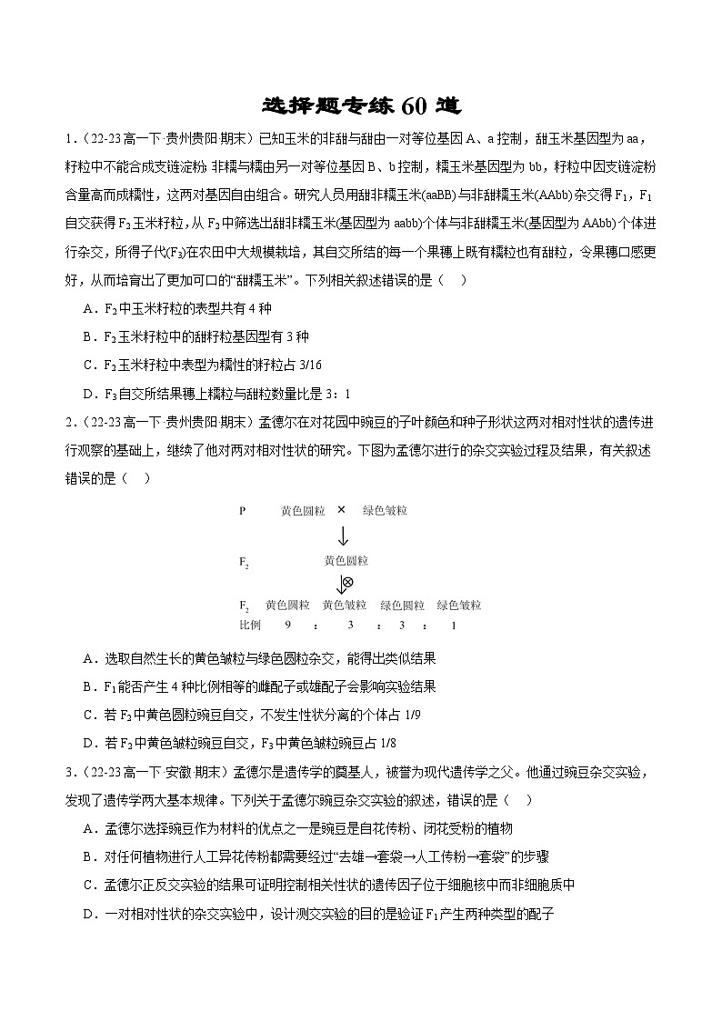 选择题专练60道（原卷版+解析版）备战2023-2024学年高一生物下学期期末真题分类汇编（新高考专用）01
