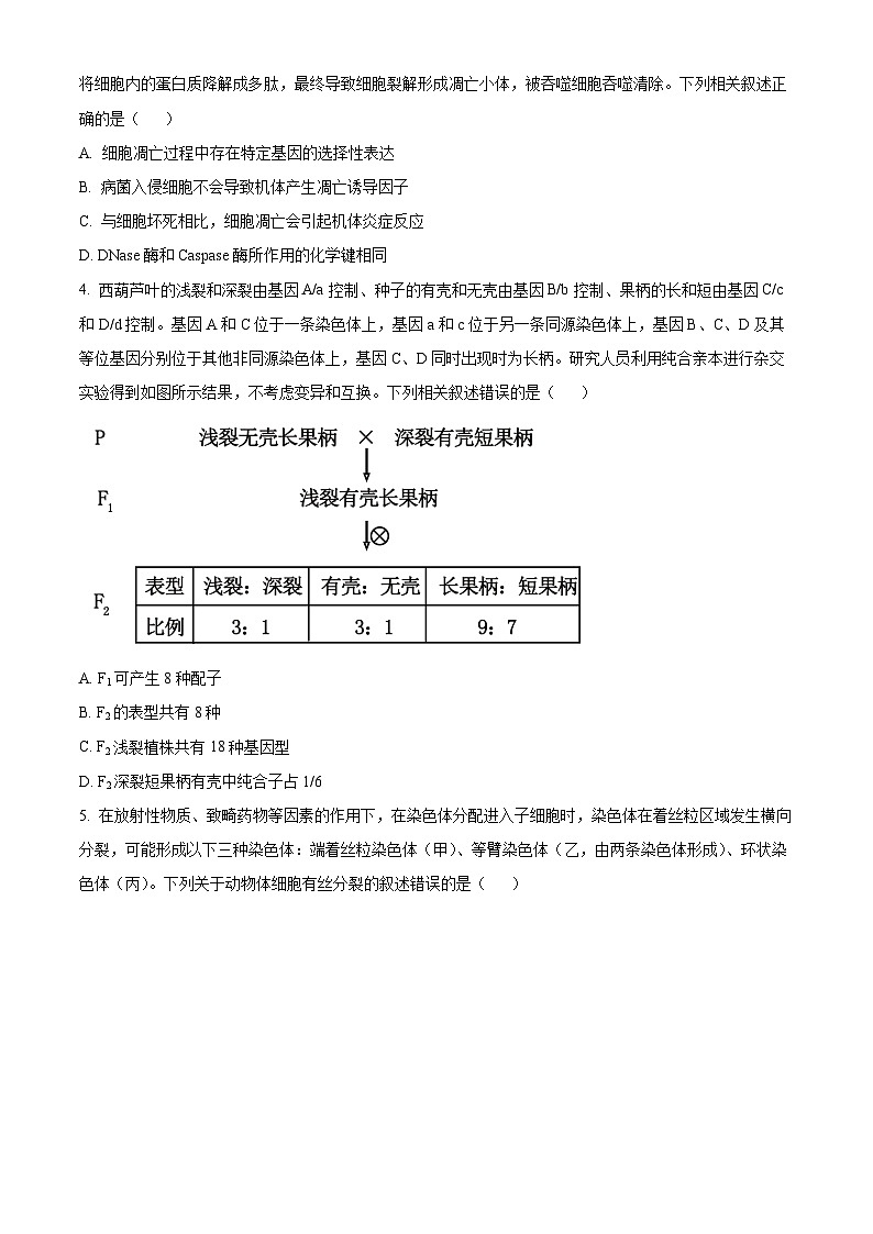 湖北省部分学校2023-2024学年高二下学期6月月考生物试卷（Word版附解析）02