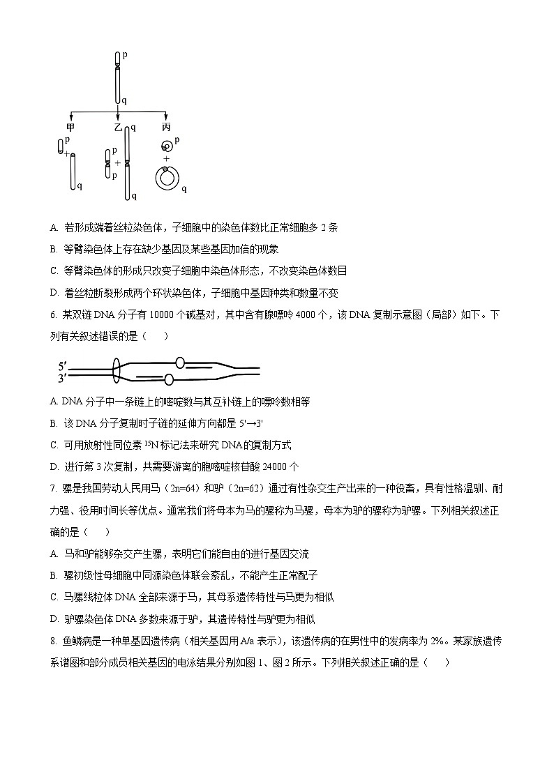 湖北省部分学校2023-2024学年高二下学期6月月考生物试卷（Word版附解析）03