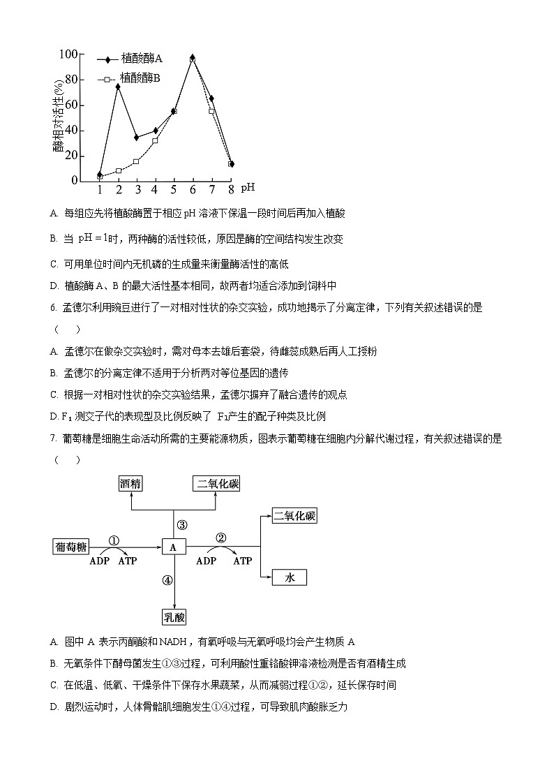 湖北省咸宁市2023—2024学年高一下学期期末考试生物试题 Word版无答案第2页