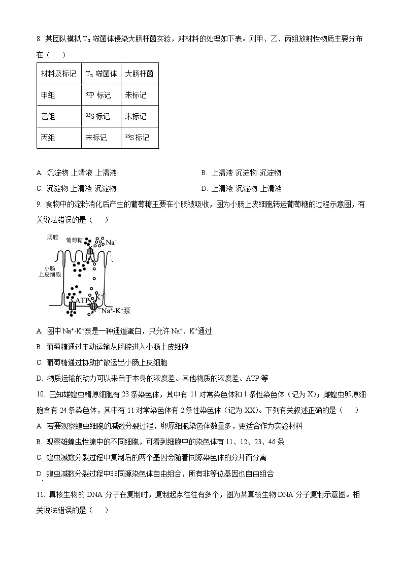 湖北省咸宁市2023—2024学年高一下学期期末考试生物试题 Word版无答案第3页