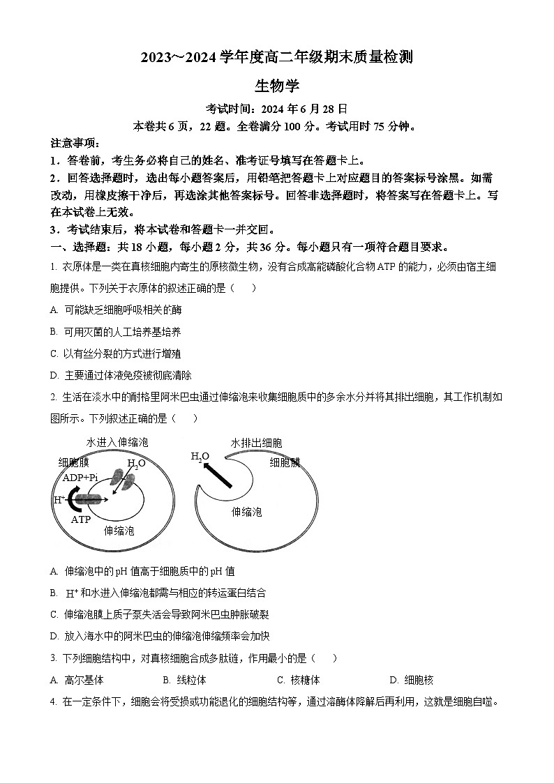 湖北省武汉市武昌区2023-2024学年高二下学期期末质量检测生物试卷 Word版无答案第1页