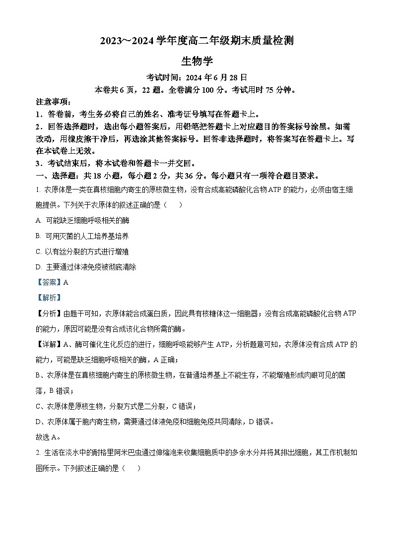 湖北省武汉市武昌区2023-2024学年高二下学期期末质量检测生物试卷 Word版含解析第1页