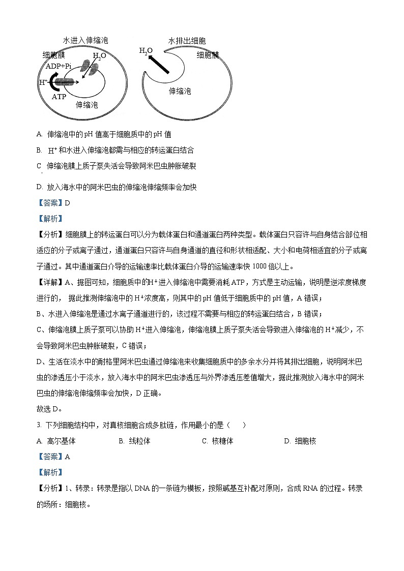 湖北省武汉市武昌区2023-2024学年高二下学期期末质量检测生物试卷 Word版含解析第2页