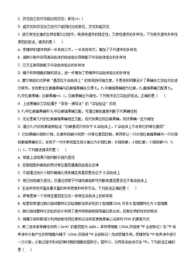 湖北省武汉市新洲区第一中学2023—2024学年高一下学期期末考试生物试题 Word版无答案第2页