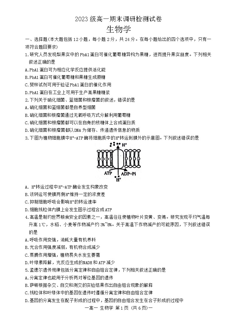 江西省南昌市2023-2024学年高一下学期7月期末生物试题(01)01