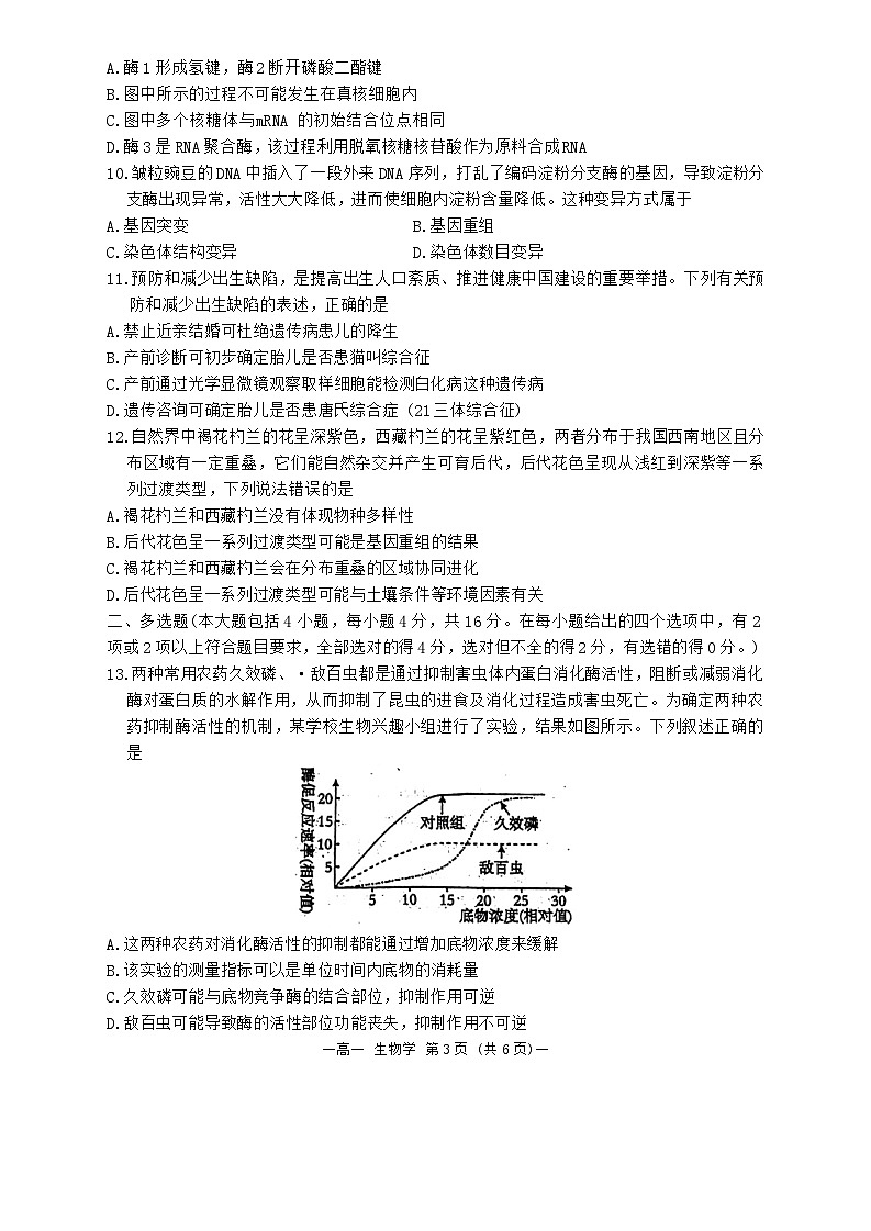 江西省南昌市2023-2024学年高一下学期7月期末生物试题(01)03